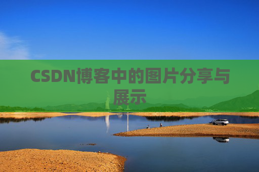CSDN博客中的图片分享与展示